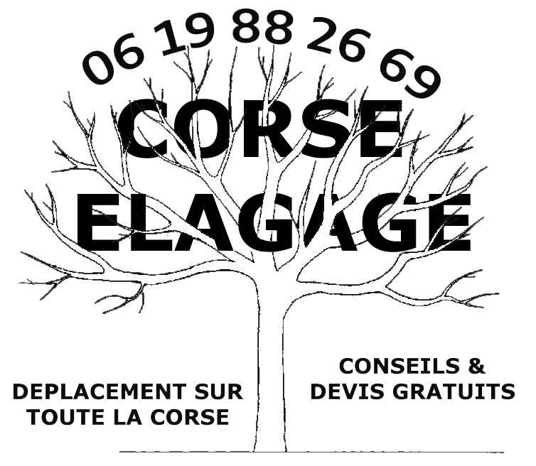 Abattage - Elagage et Demontage d'arbre en Corse